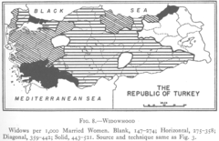 1927 Widowhood Turkey