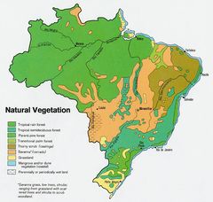 Brazil Vegetation Map 1977