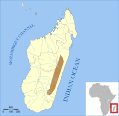 Mantella Baroni Map