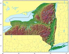 New York Relief Map