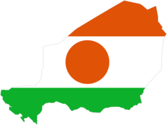 Niger Flag Map