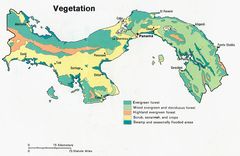 Panama Vegetation Map