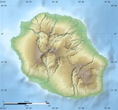 Reunion Department Relief Map