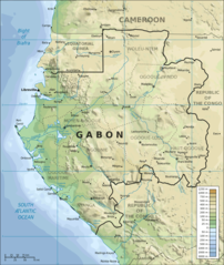 Topographic Map of Gabon