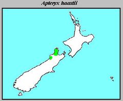 Apteryx Haastii Distribution