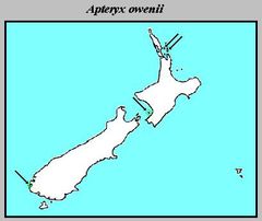 Apteryx Owenii Distribution