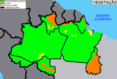 Brazil Norte Vegetation Map