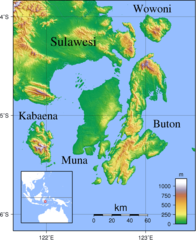 Buton Topography