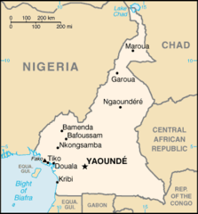 Cameroon Cia Wfb Map