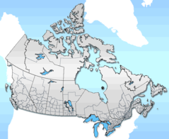 Canada Census Layout