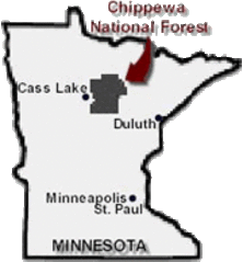 Chippewa National Forest