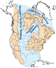 Cretaceous Seaway