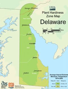 Delaware Plant Hardiness Zone Map