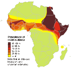 Fgm Map