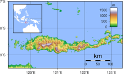 Flores Topography