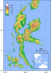 Halmahera Topography