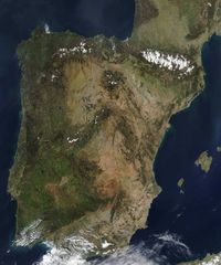 Iberianpeninsulanasa