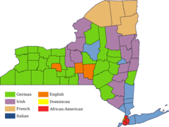 Largest Ancestry of Each New York County (en)