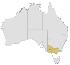 Location Map of Horsham