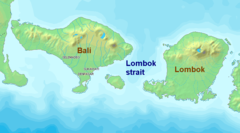 Lombok Strait