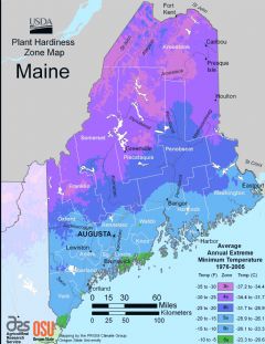 Maine Plant Hardiness Zone Map