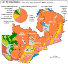 Map of Ecoregions of Zambia