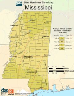 Mississippi Plant Hardiness Zone Map