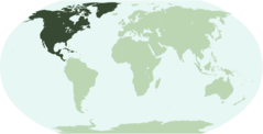 Northamericalocation