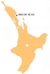 Nz Bream H