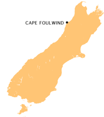 Nz C Foulwind