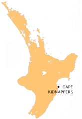 Nz C Kidnappers