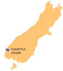 Nz Doubtful S