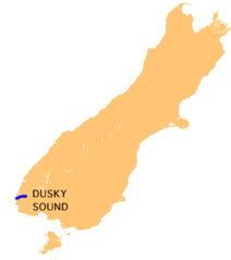 Nz Dusky S