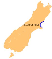 Nz Pegasus B