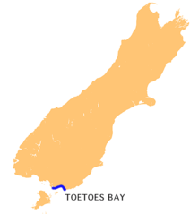 Nz Toetoes B