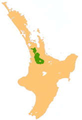 Nz Waikato P