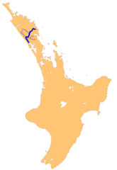 Nz Wairua R