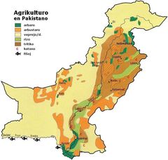 Pakistan Ag 1973 Eo