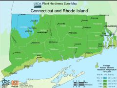 Rhode Island Plant Hardiness Zone Map