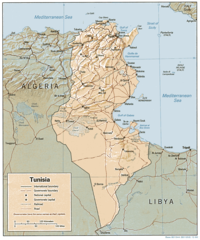 Tunisia Relief Map