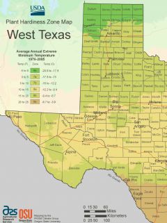 West Texas Plant Hardiness Zone Map