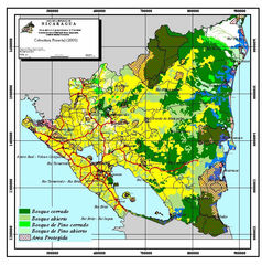 Map Forest Nicargua