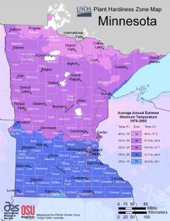 Minnesota Plant Hardiness Zone Map